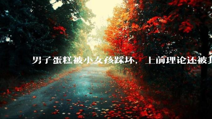 男子蛋糕被小女孩踩坏，上前理论还被其家长辱骂殴打，如果发生这种事情有比***里当事人更好的处理方法吗？