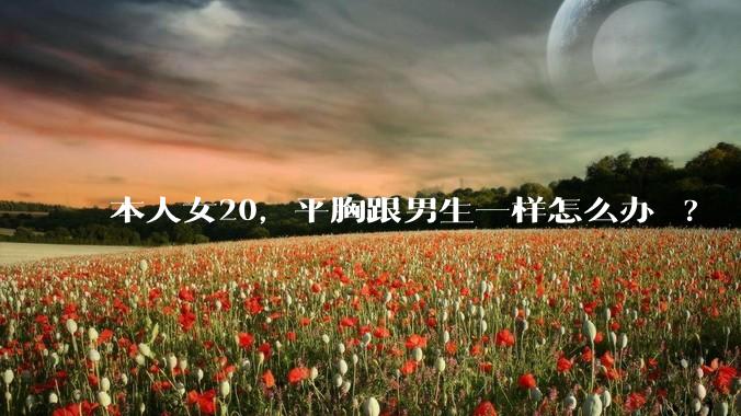 本人女20，平胸跟男生一样怎么办 ?