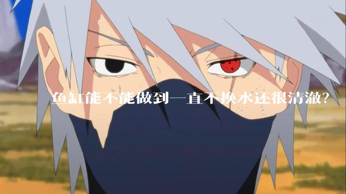 鱼缸能不能做到一直不换水还很清澈？