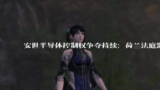 安世半导体控制权争夺持续：荷兰法庭激辩，闻泰科技力证“资产掏空”等指控不实_公司_张学政_技术