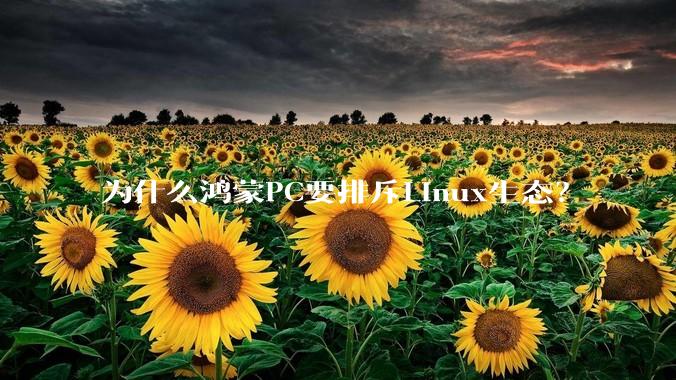 为什么鸿蒙PC要排斥Linux生态？