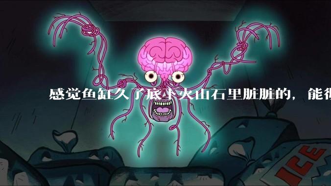 感觉鱼缸久了底下火山石里脏脏的，能彻底换水清理一遍不？