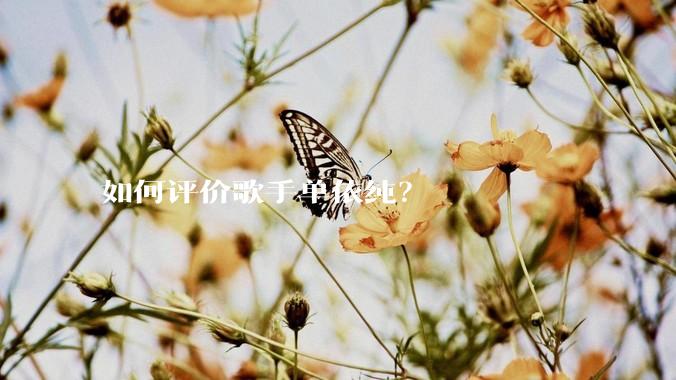 如何评价歌手单依纯？