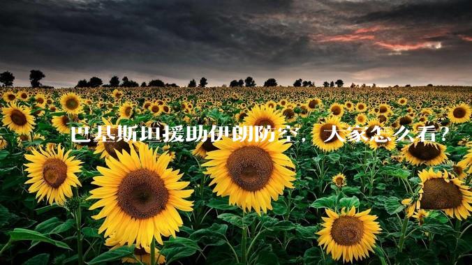 巴基斯坦援助伊朗防空，大家怎么看？