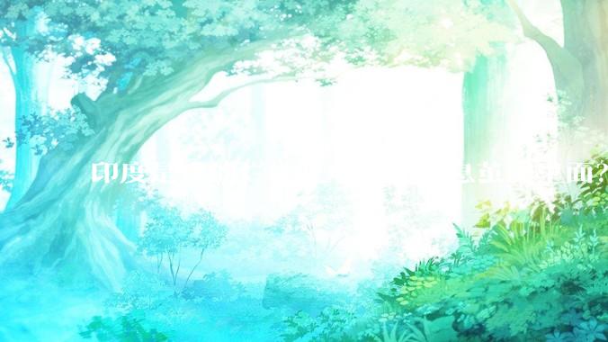 印度是真的烂还是咱们在信息茧房里面？