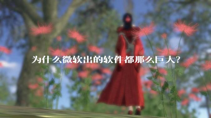 为什么微软出的软件都那么巨大？