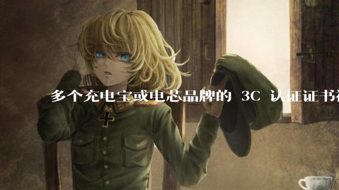 多个充电宝或电芯品牌的 3C 认证证书被暂停，涉及罗马仕、安克、绿联、倍思、安普瑞斯等，发生了什么？