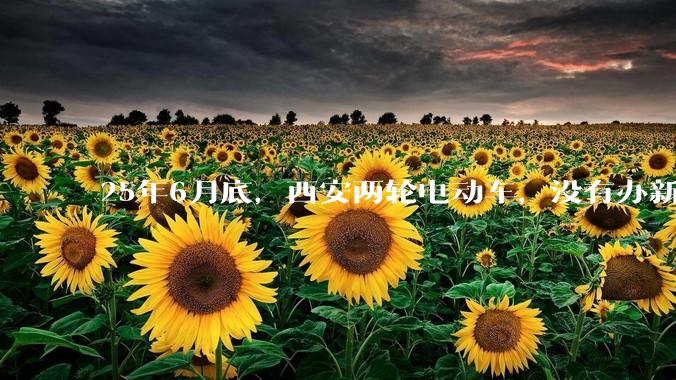 25年6月底，西安两轮电动车，没有办新的牌照的不允许上路了，并且需要对应的驾照才能骑。是真的吗？