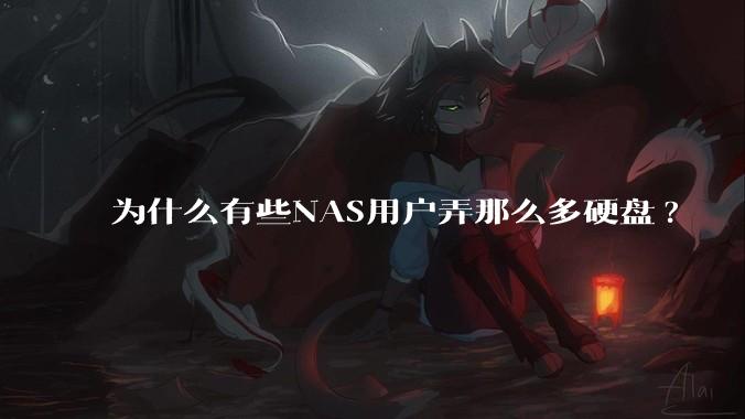 为什么有些NAS用户弄那么多硬盘?